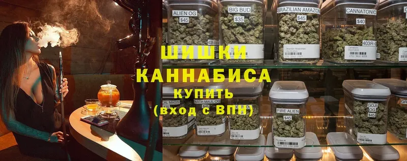 Канабис OG Kush  Дубна 